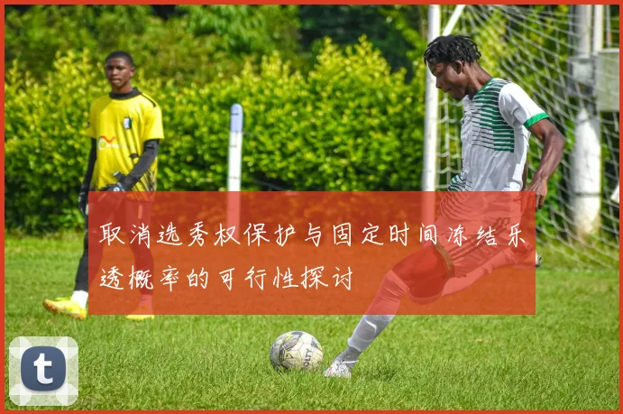 取消选秀权保护与固定时间冻结乐透概率的可行性探讨
