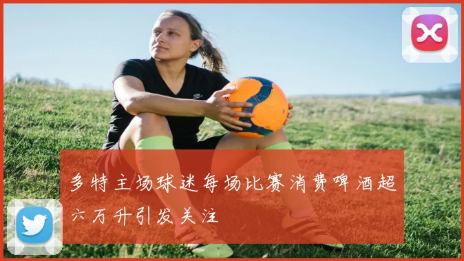 多特主场球迷每场比赛消费啤酒超六万升引发关注